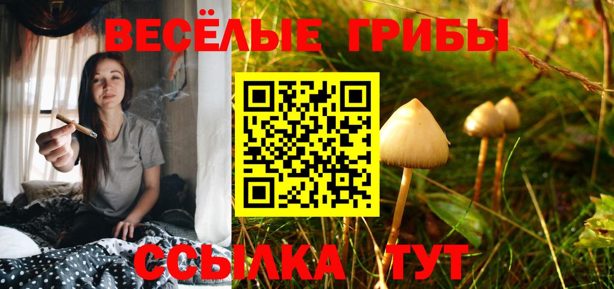 Псилоцибиновые грибы Cubensis  Вход с VPN  Костомукша  Псилоцибиновые грибы мицелий 